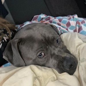 Meet your Posher, Molly